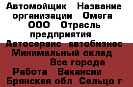 Автомойщик › Название организации ­ Омега, ООО › Отрасль предприятия ­ Автосервис, автобизнес › Минимальный оклад ­ 50 000 - Все города Работа » Вакансии   . Брянская обл.,Сельцо г.